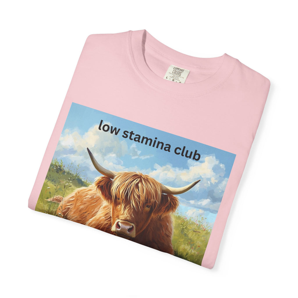 Low Stamina Club T-Shirt Cozy Highland Cow Graphic Tee