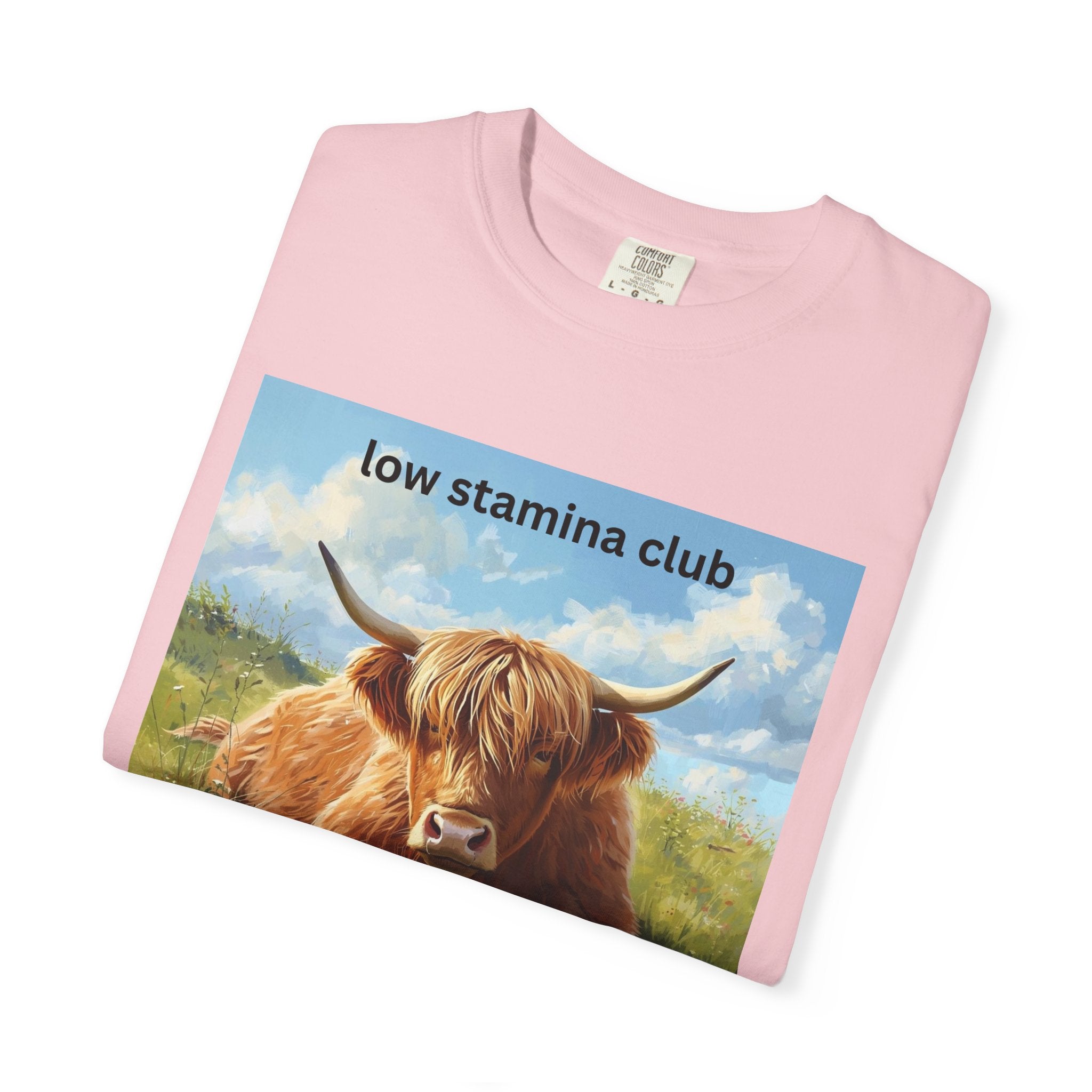 Low Stamina Club T-Shirt Cozy Highland Cow Graphic Tee