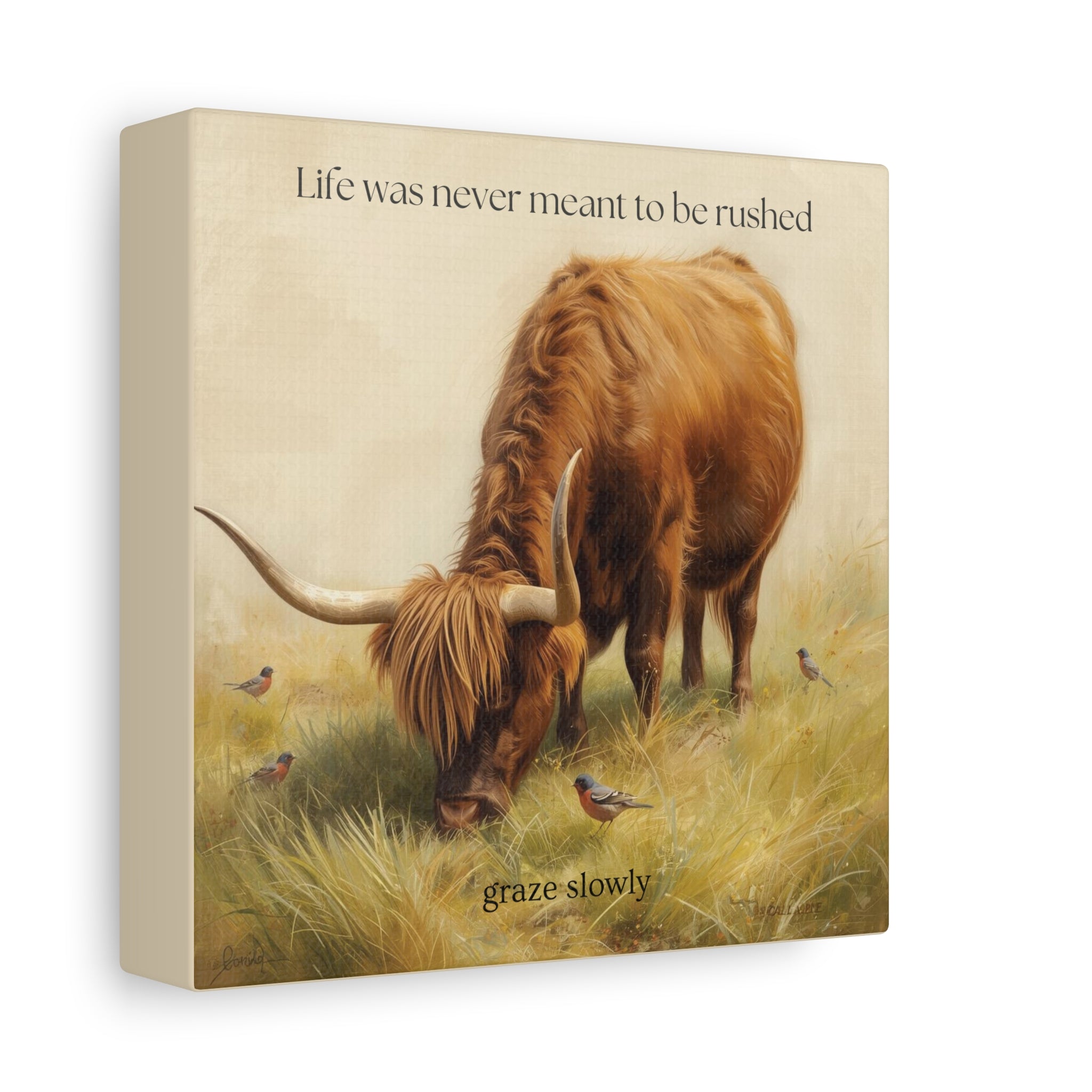 Graze Slowly Wall Art Minimal Highland Cow Print for Slow Living Spaces
