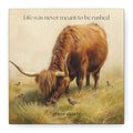 Graze Slowly Wall Art Minimal Highland Cow Print for Slow Living Spaces