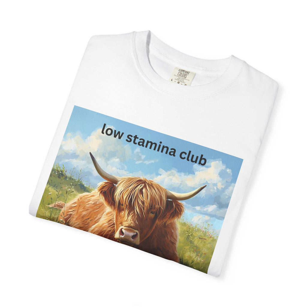 Low Stamina Club T-Shirt Cozy Highland Cow Graphic Tee