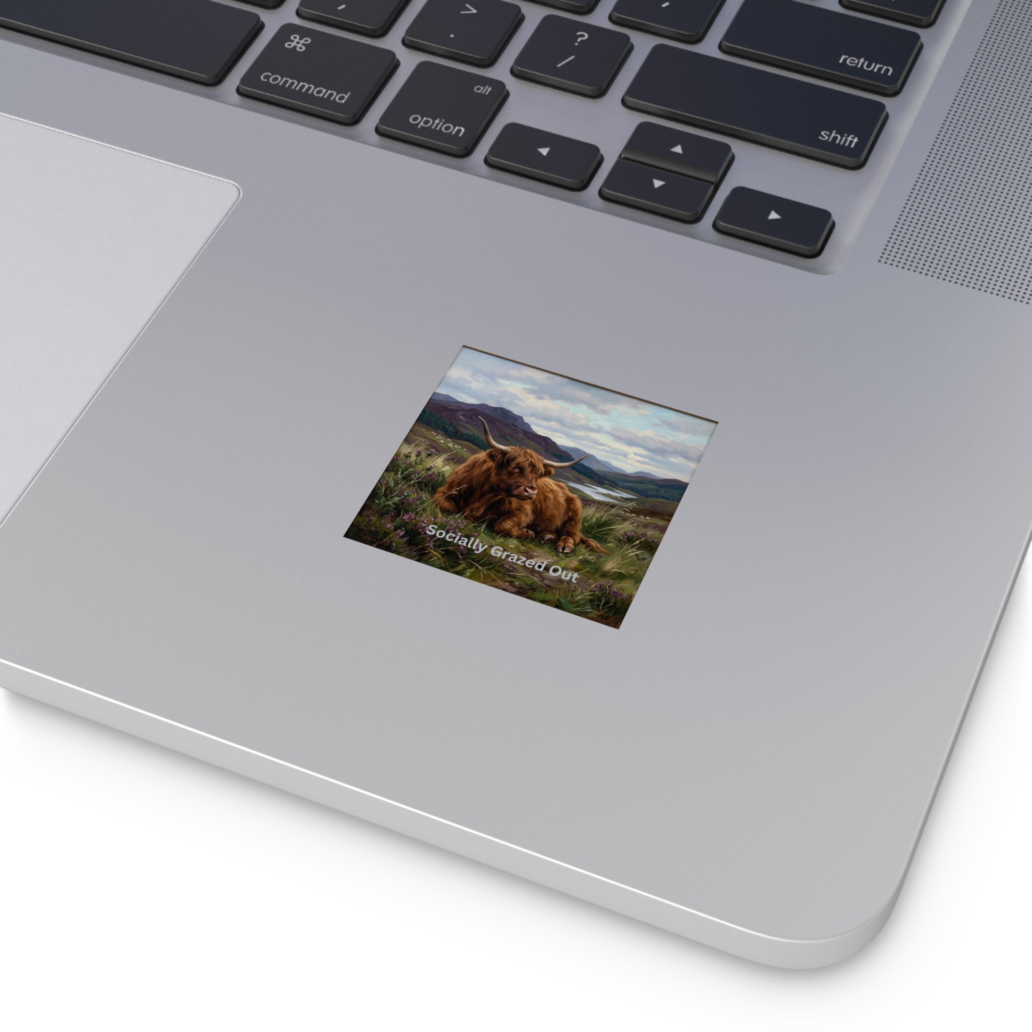 Copy of Tiny Triumphs-  Highland Cow Cozy Checklist Vinyl Sticker