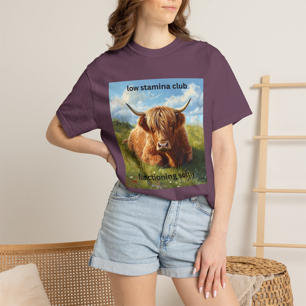 Low Stamina Club T-Shirt Cozy Highland Cow Graphic Tee