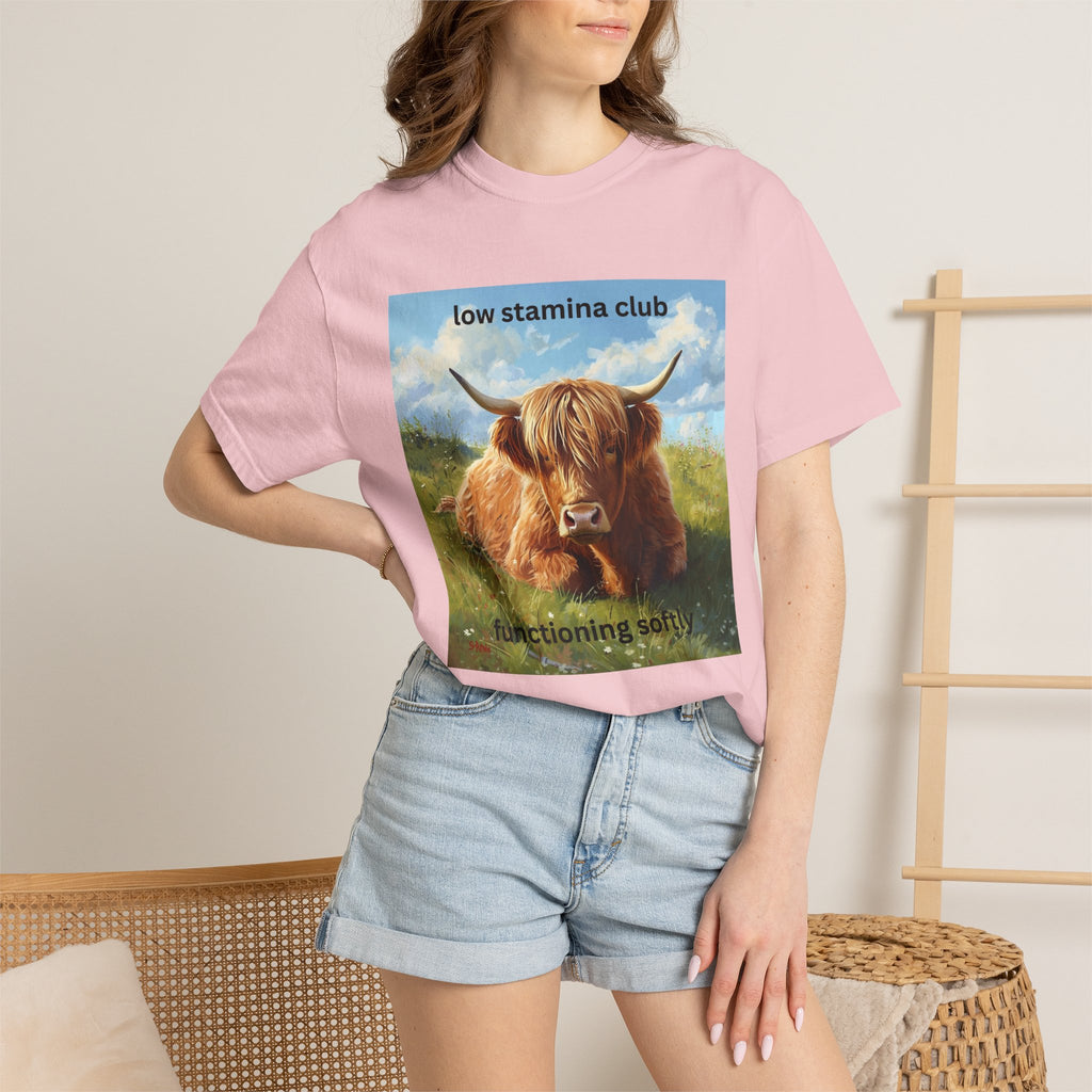 Low Stamina Club T-Shirt Cozy Highland Cow Graphic Tee