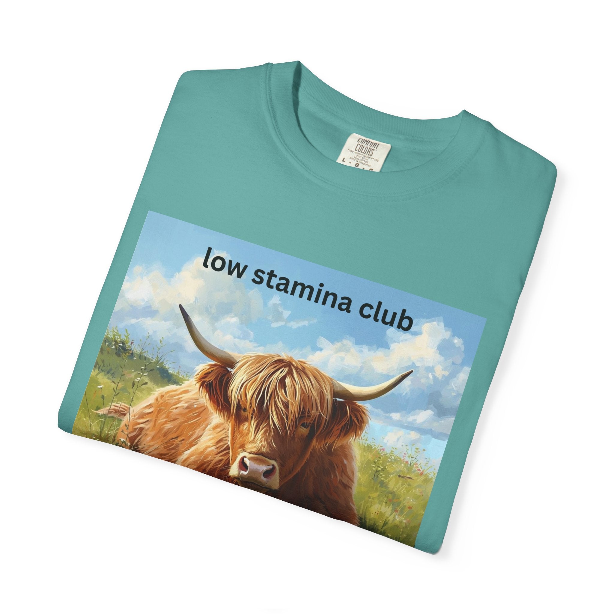 Low Stamina Club T-Shirt Cozy Highland Cow Graphic Tee