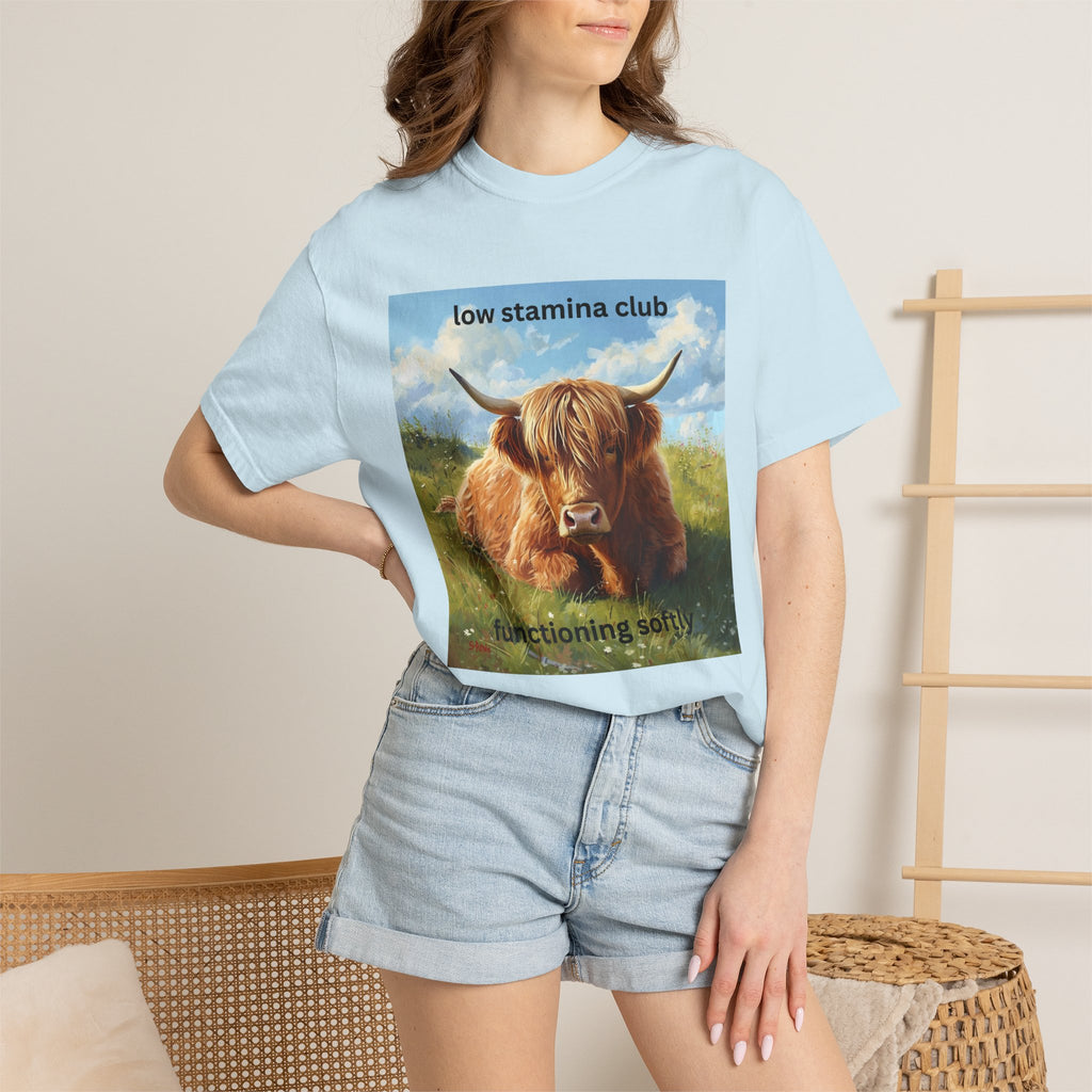 Low Stamina Club T-Shirt Cozy Highland Cow Graphic Tee