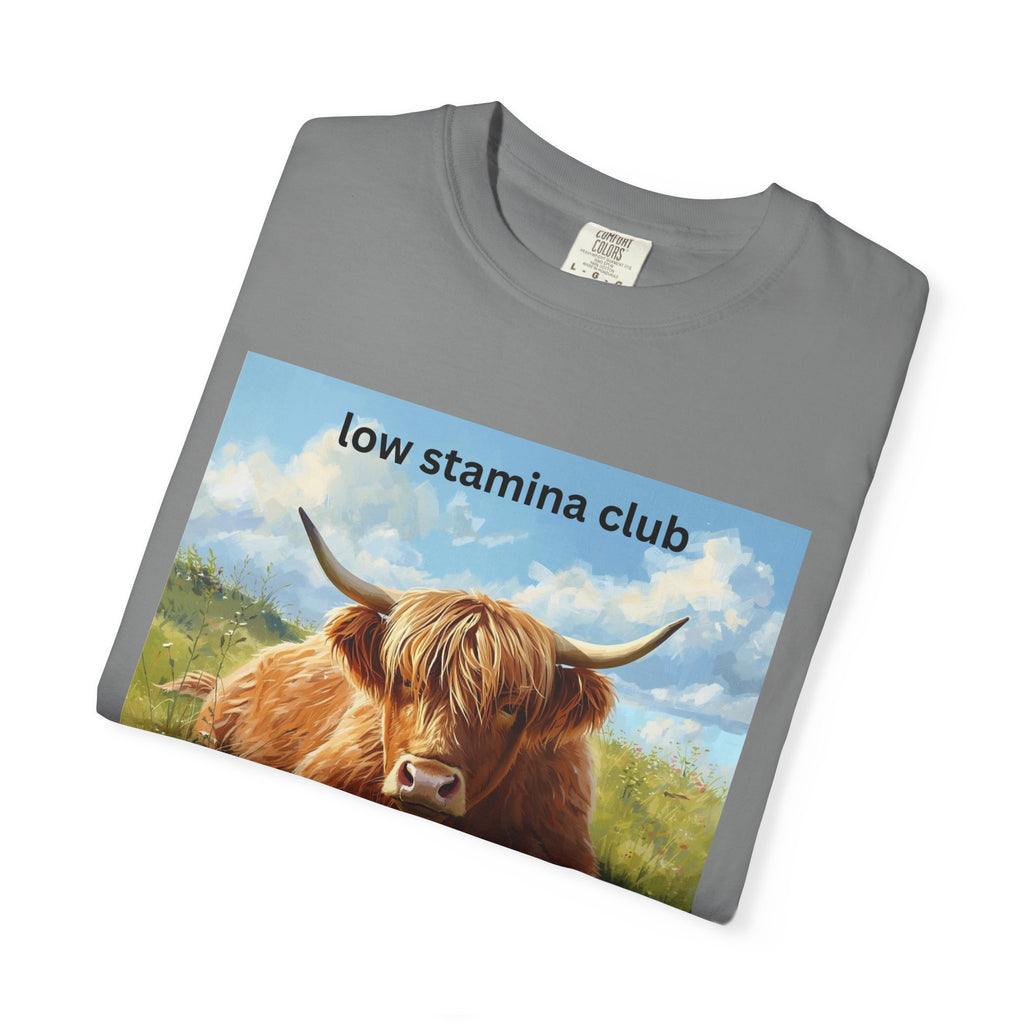 Low Stamina Club T-Shirt Cozy Highland Cow Graphic Tee