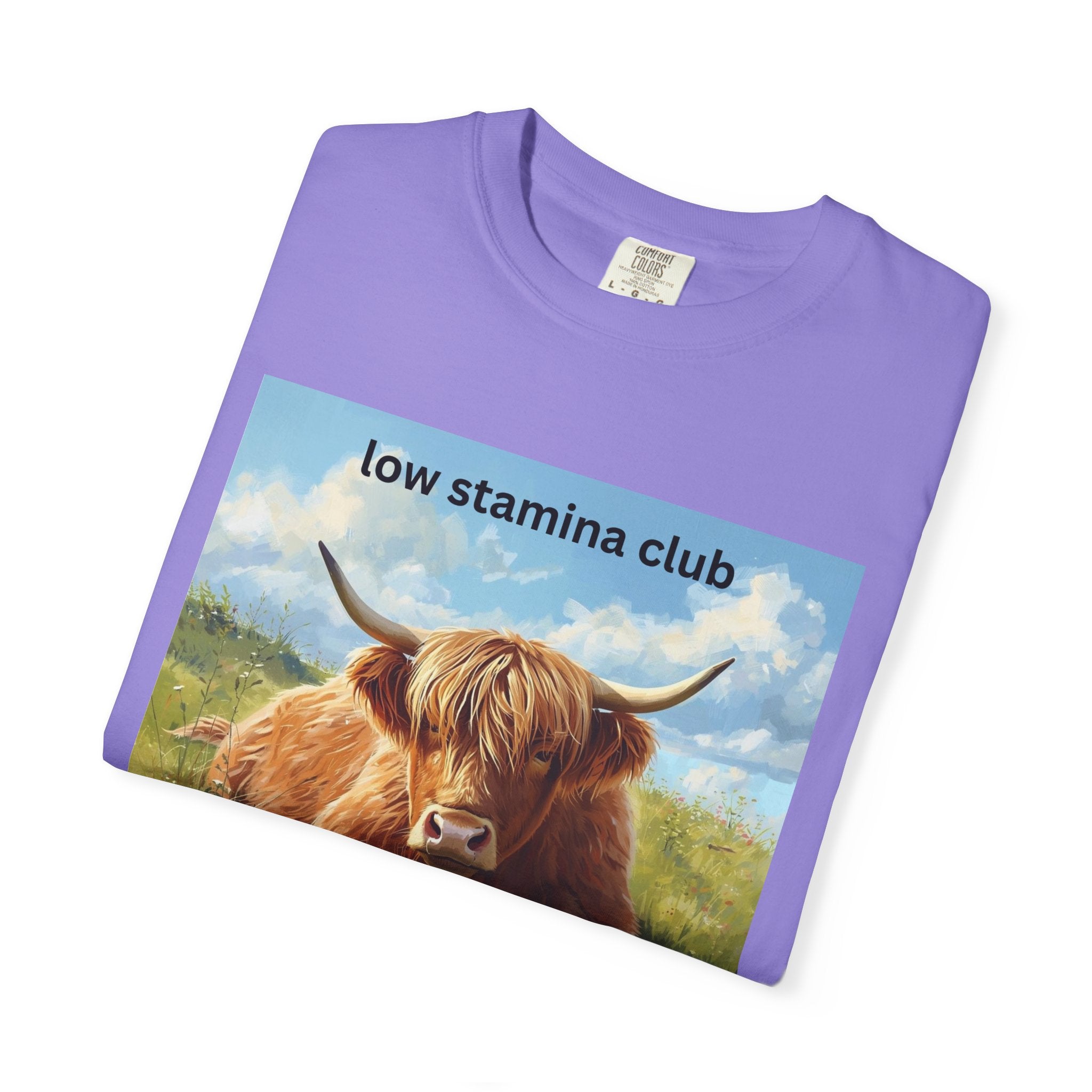 Low Stamina Club T-Shirt Cozy Highland Cow Graphic Tee