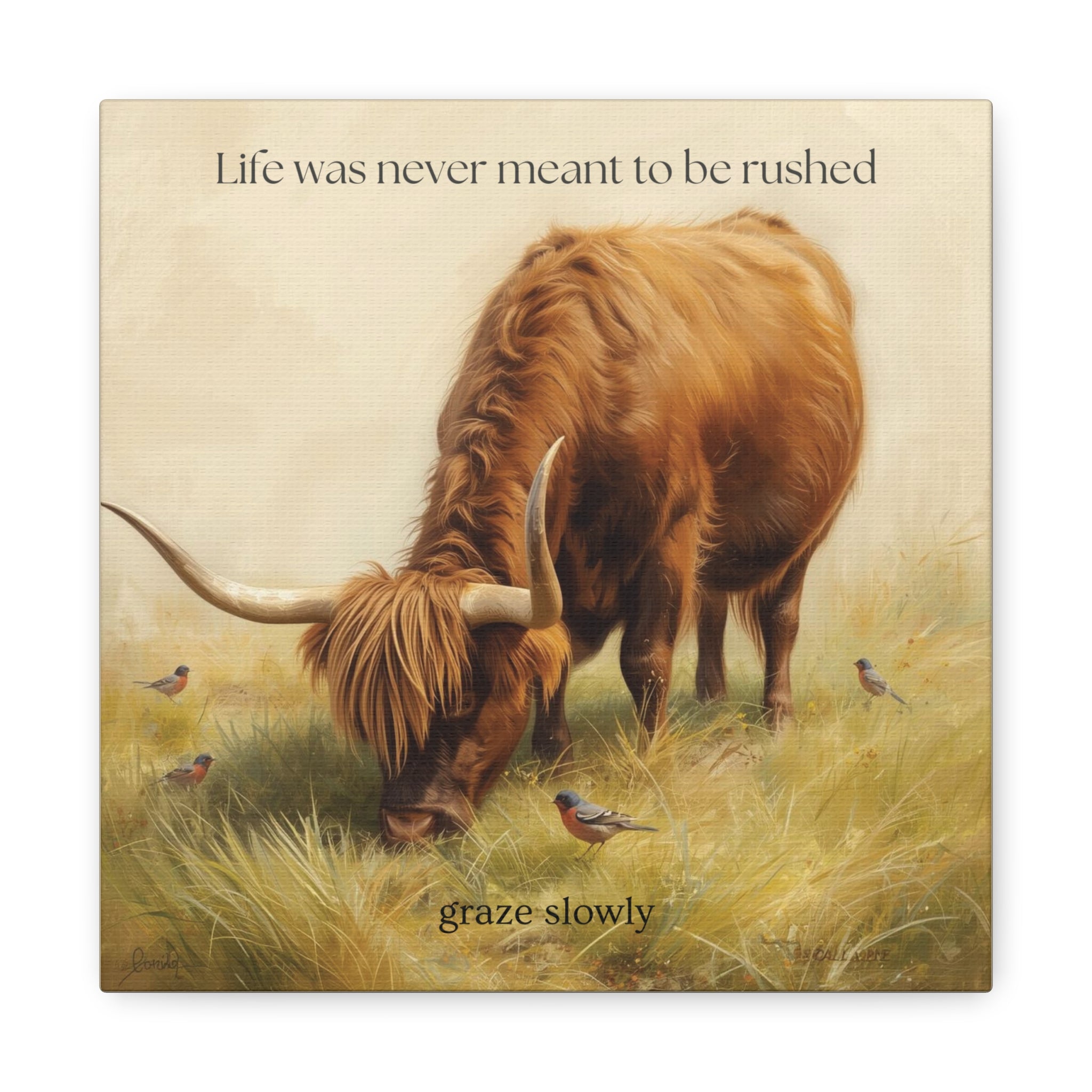 Graze Slowly Wall Art Minimal Highland Cow Print for Slow Living Spaces