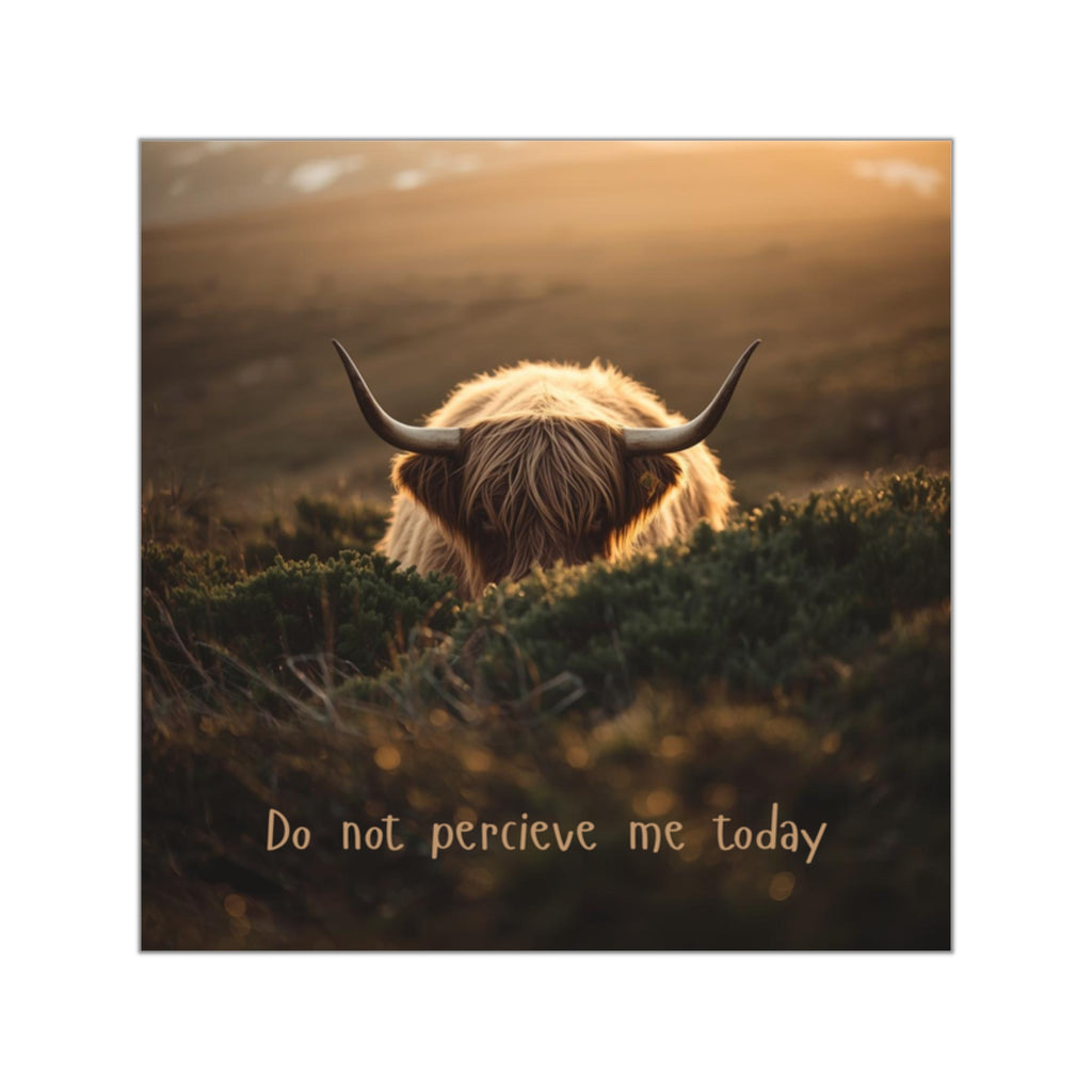 Do Not Perceive Me Sticker Shy Highland Cow Vinyl Sticker