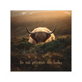 Do Not Perceive Me Sticker Shy Highland Cow Vinyl Sticker