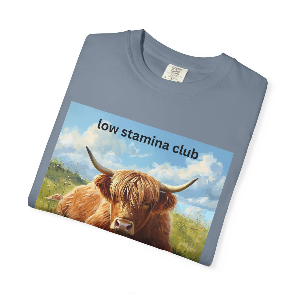 Low Stamina Club T-Shirt Cozy Highland Cow Graphic Tee