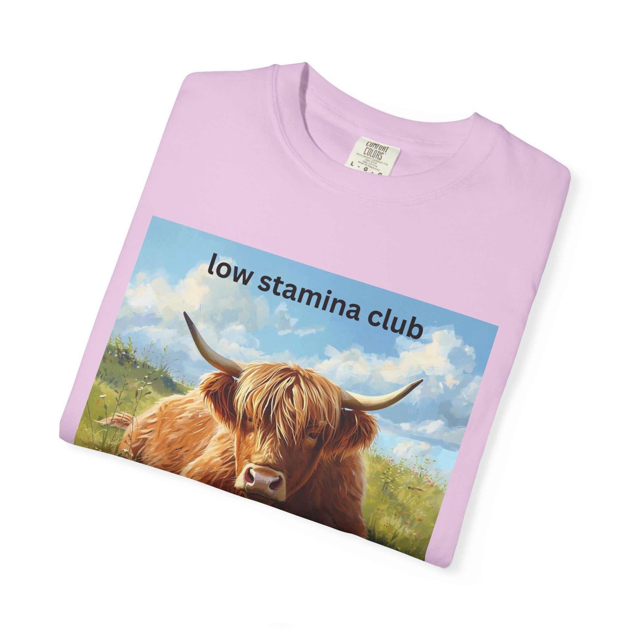 Low Stamina Club T-Shirt Cozy Highland Cow Graphic Tee