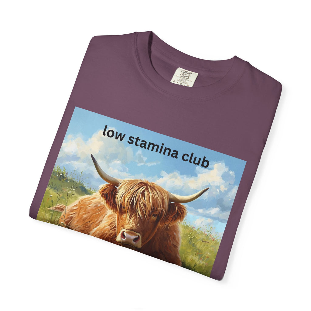 Low Stamina Club T-Shirt Cozy Highland Cow Graphic Tee